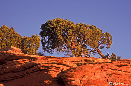 Colorado National Monument